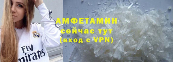 стафф Аркадак