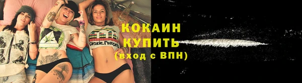 стафф Аркадак