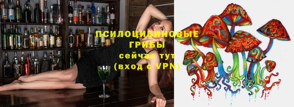 тгк Армянск