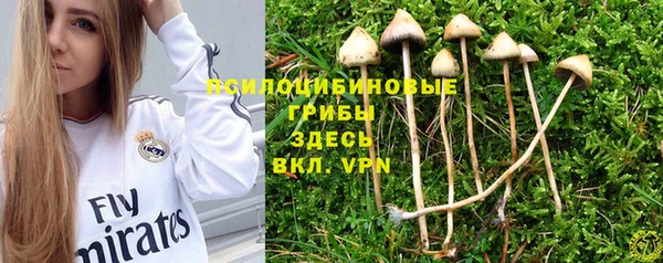 тгк Армянск