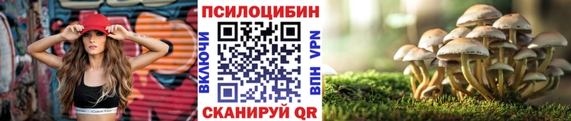 Псилоцибиновые грибы GOLDEN TEACHER  где купить наркотик  Макарьев 